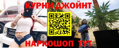 гидра Тара