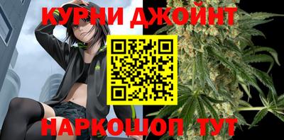 гидра Тара