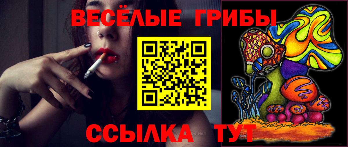Галлюциногенные грибы Magic Shrooms  Вход с VPN  Нерюнгри  Псилоцибиновые грибы прущие грибы 